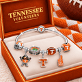 TVF Silver Charm Bracelet Set TMH