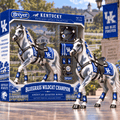 Premium KWBK Heritage Horse Collectible Set PDL